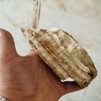 سنگ دکور اکواریوم فقط عمده