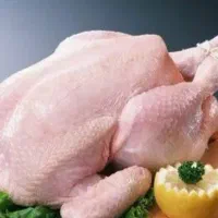 به یک کارگر برای مرغ ماهی نیازمند هستیم