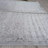 یک جفت شش متری درحداکبند۱۲۰۰شانه