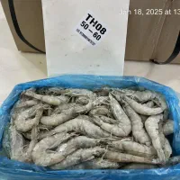 پخش انواع میگو بطور مستقیم از تولیدکننده|خوردنی و آشامیدنی|تهران, ونک|دیوار