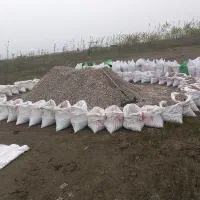 صدف دریاچه خزر