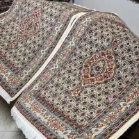 زرع و‌نیم جفت نقشه ماهی