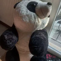 خرس خارجی پاندا