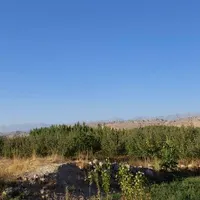 باغ گلابی|خدمات باغبانی و درختکاری|اهواز, زرگان|دیوار
