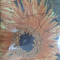 فروش روتختی یک نفره نو ۲ دست|سرویس روتختی|گرگان, |دیوار