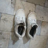 کتونی شماره۳۸