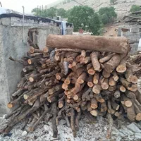 خریدار هر نوع چوب شما|خدمات باغبانی و درختکاری|شیراز, شهرک مدرس|دیوار