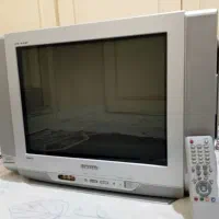 تلویزیون