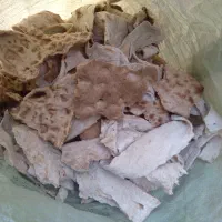 نون خشک فروشی