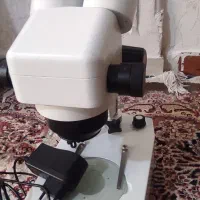 لوپ جی پنج
