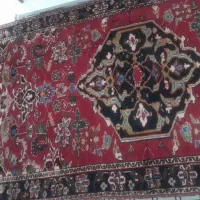 فرش تمام پشم دستبافت|فرش|شاهین‌شهر, حافظ شمالی|دیوار