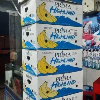 کارتن خالی موز