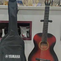 گیتار|گیتار، بیس، امپلیفایر|تهران, گلستان (شهرک راه آهن)|دیوار