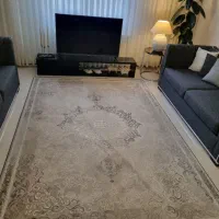 ۲ تا فرش ۶ متری طرح پتینه