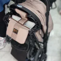 کالسکه تک دلیجان در سیسمونی دردونه|کالسکه و لوازم جانبی|مشهد, طبرسی شمالی|دیوار