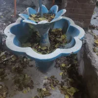 حوض دو طبقه سالم