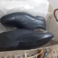 کفش|کیف، کفش، کمربند|اردبیل, |دیوار