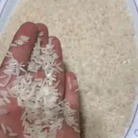 سه تن برنج شیرودی کیلویی ۱۸۰