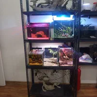 مجموعه آکواریم معاوضه با آکواریم