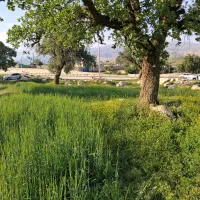 نگهداری از باغ رایگان