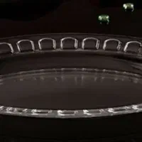 سرویس بند انگشتی(عینکی)فرانسوی نو|ظروف سرو و پذیرایی|تهران, جی|دیوار