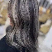 رنگ و لایت حرفه ای