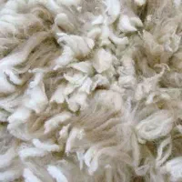پشم گوسفندی