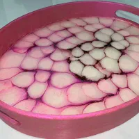 سینی|ظروف سرو و پذیرایی|رشت, پارک شهر|دیوار