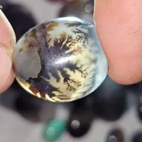 مقداری راف و نگین شجر|جواهرات|کرمان, |دیوار