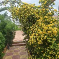 باغ و دامداری