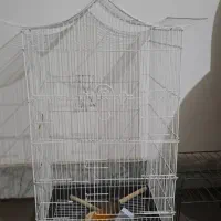 قفس بزرگ وجادار