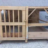 قفس چوبی بزرگ|لوازم جانبی حیوانات|قم, نخودی|دیوار