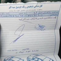 پراید بار ۴۰۲ بدون رنگ|خودرو سواری و وانت|جهرم, |دیوار