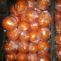 پرتقال تامسون