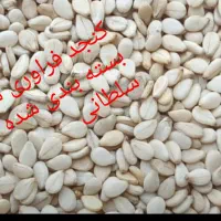 بازاریاب حقوق ثابت و پو سانت فروش