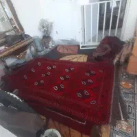 فرش سنتی دستبافت|گلیم، جاجیم، گبه|تهران, دکتر هوشیار|دیوار