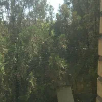 فروش-کلنگی