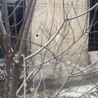 ۷۰ متر کلنگی زرکش با قیمت استثنایی|فروش زمین و ملک کلنگی|تهران, زرکش|دیوار