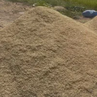 چلتوک هاشمی اصل