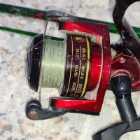 لانس (لنسر) دوتیکه|ماهیگیری|آستانه اشرفیه, |دیوار