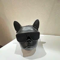 اسپیکر بولداگ و اسپیکر t&g|پخش‌کننده همراه|تهران, صادقیه|دیوار