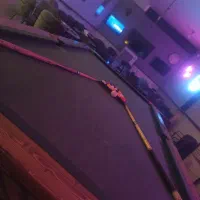 همخونه میشم