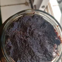 رب الوچه محلی|خوردنی و آشامیدنی|رشت, آب آسیاب|دیوار