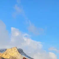 مسافرت داوطلبانه