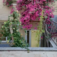 3خواب-خیابان-ایت-الله-کاشانی