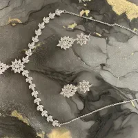 سرویس نقره