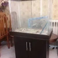 اکواریوم کابینت دار