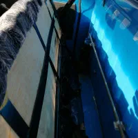 نیسان برگ اوراق|خودرو سواری و وانت|کرمانشاه, |دیوار