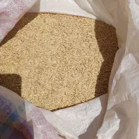 جوبذری رقم سیبی