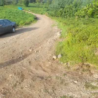 فروش باغ چای|فروش زمین و ملک کلنگی|رانکوه, |دیوار